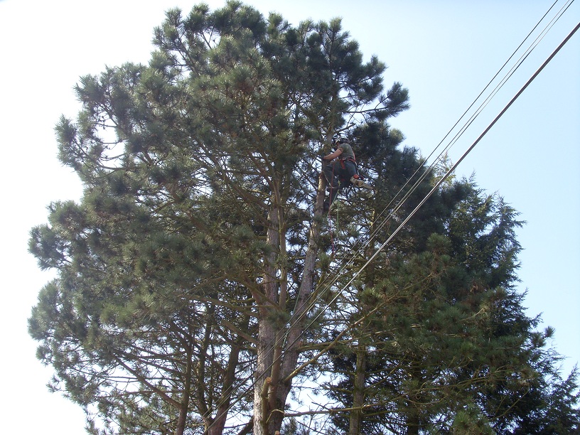 Pendant7