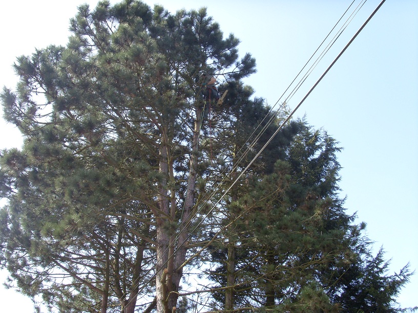 Pendant8